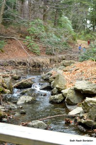 Arnold Arboretum-Harvard