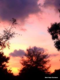 mid-October Gloaming