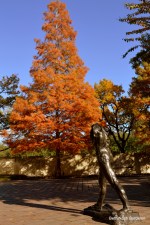 Cullen Sculpture Garden - MFAH